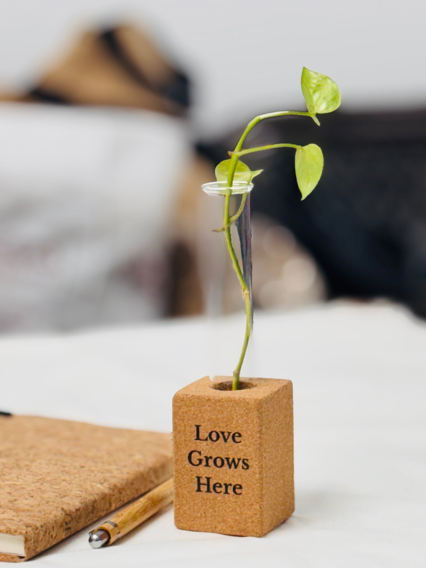 Bamboo Pen + Diary + Cork Planter Combo Set