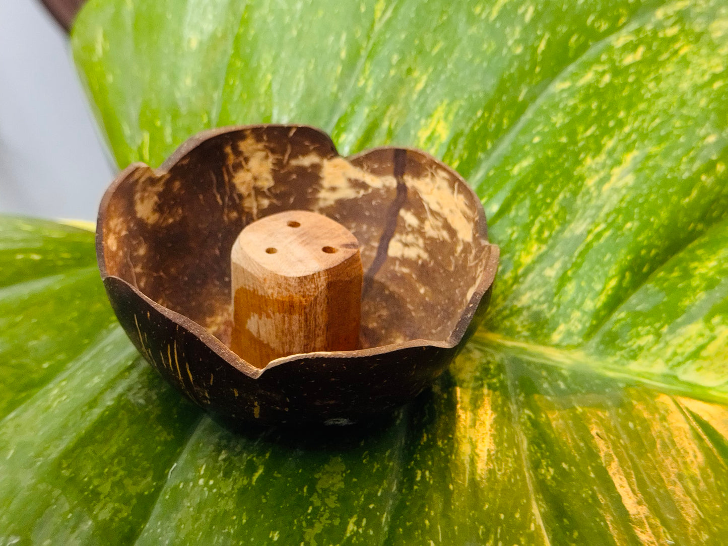 Coconut Aggarbatti Stand