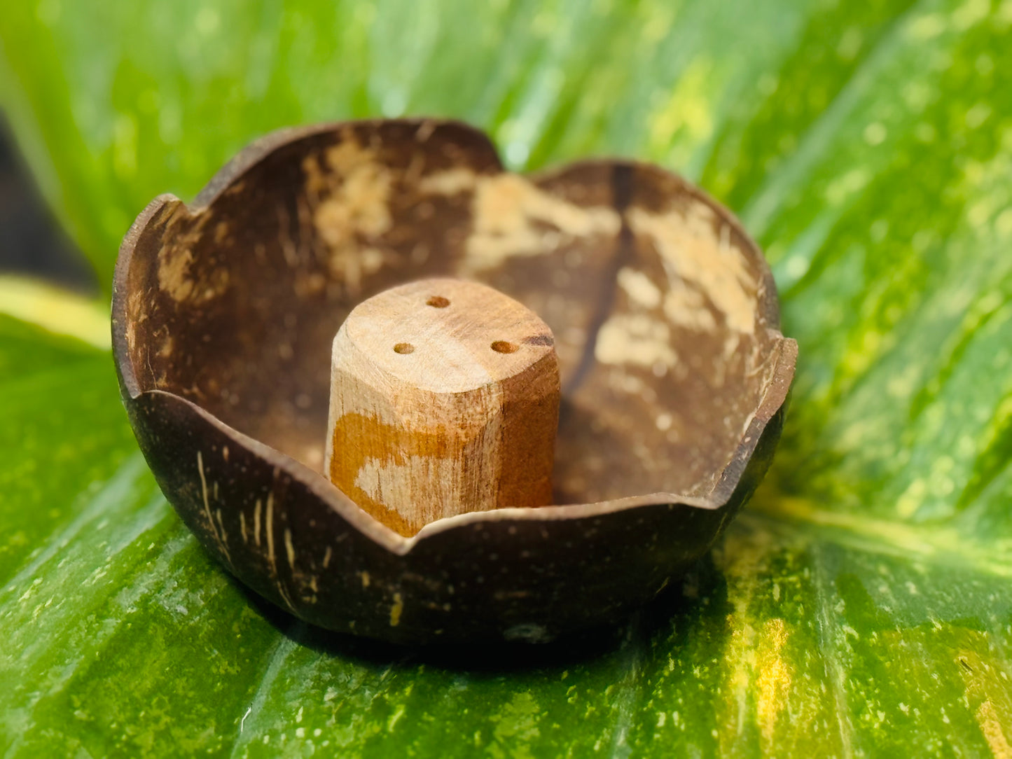 Coconut Aggarbatti Stand