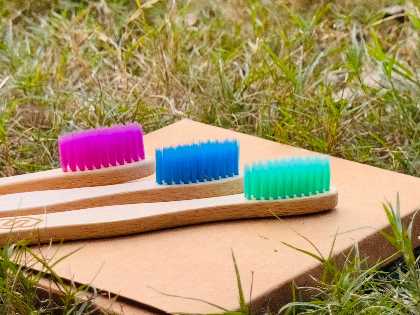 Tri Color Wooden  Small Toothbrush (Pack Of 3)