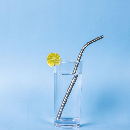 Steel Straws + Cleaner