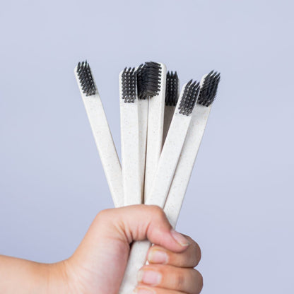 Wheatstem Toothbrush